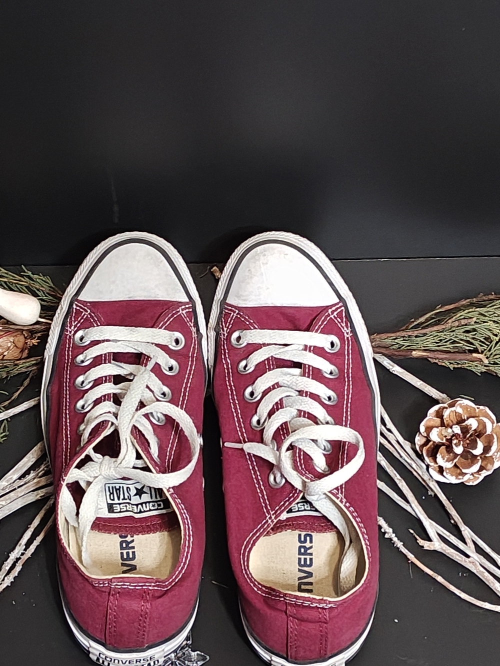 Converse Women's Low Top Sneakers in Burgundy